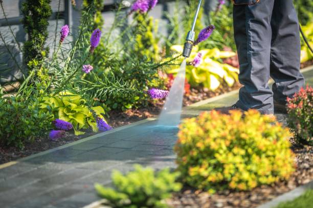 Best Restaurant Pressure Washing  in South Hill, NY